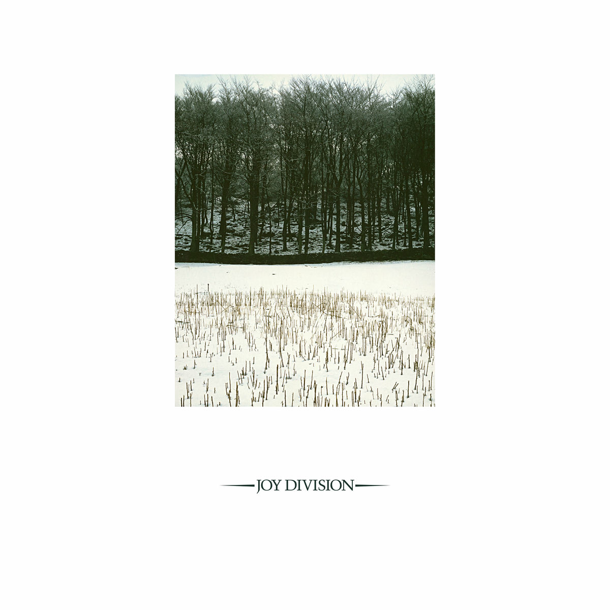 Joy Division